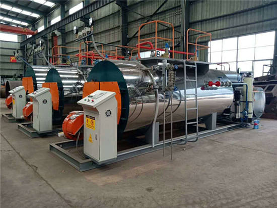 WNS��ȼ��ȼ��������¯